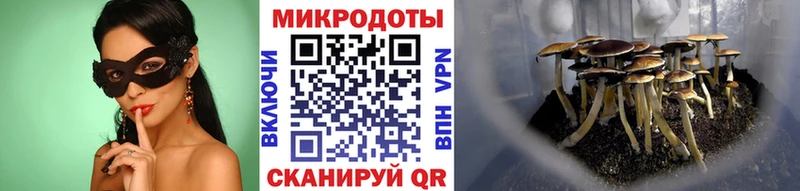 где купить наркоту  Семикаракорск  Псилоцибиновые грибы ЛСД 